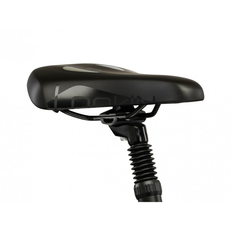 Rower Kross PG Pulser TR 5 damski 2026