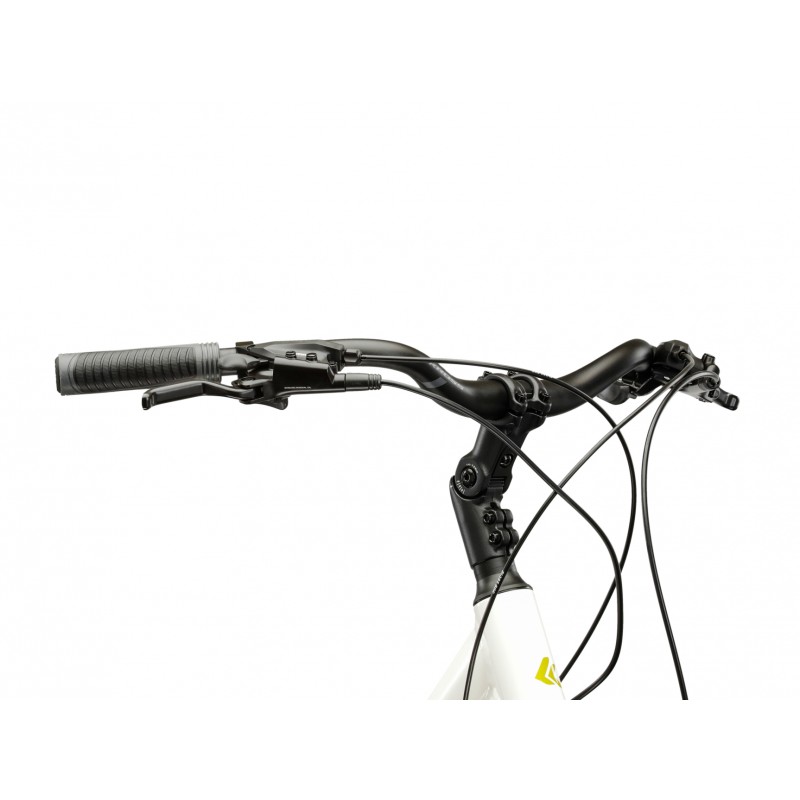 Rower Kross PG Pulser TR 5.0 damski 2026