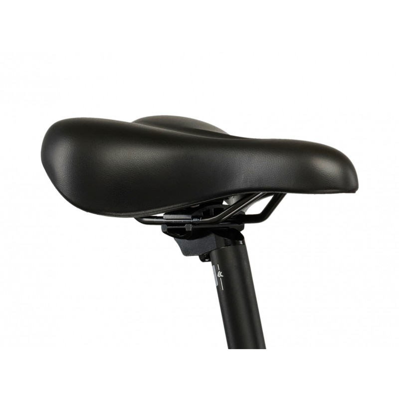 Rower Kross PG Pulser LD 1.0 damski 2026