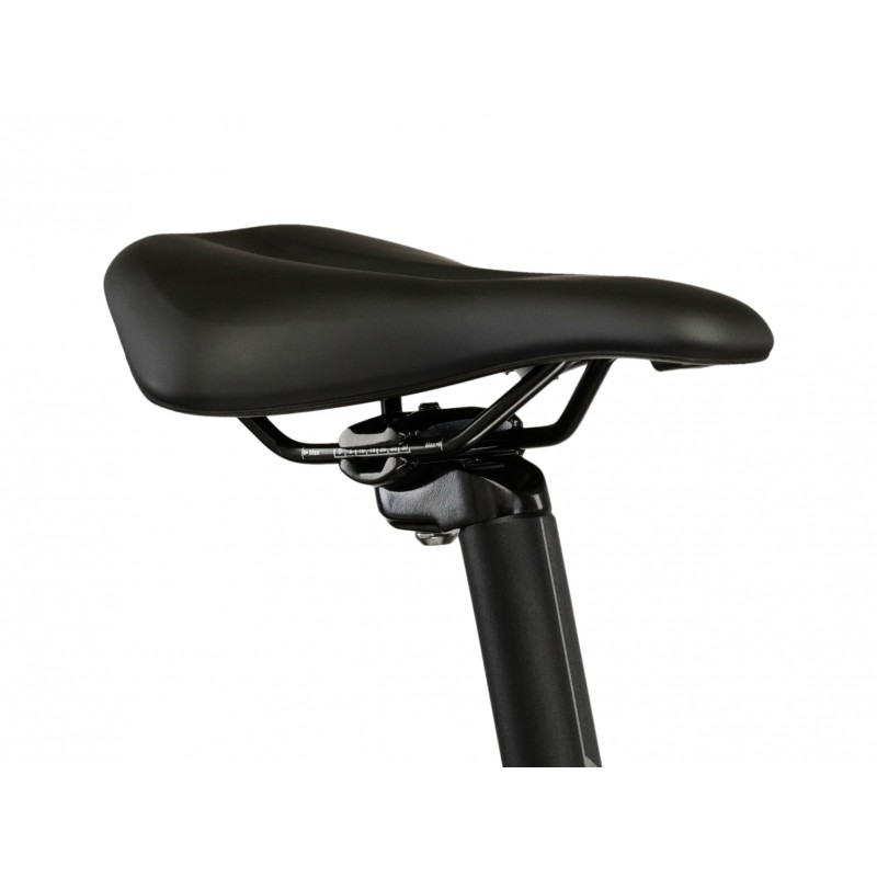 Rower Kross PG Pulser LD 3.0 damski 2026