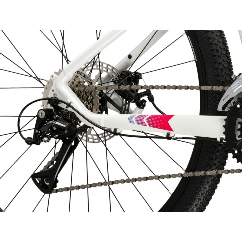 Rower Kross PG Pulser LD 3.0 damski 2026