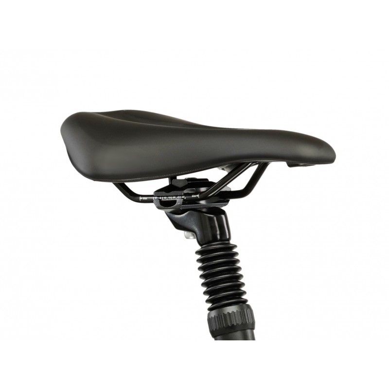 Rower Kross PG Pulser CR 5.0 damski 2026