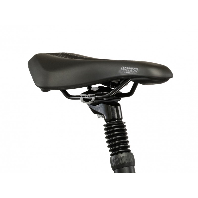 Rower Kross PG Pulser CR 5.0 męski 2026